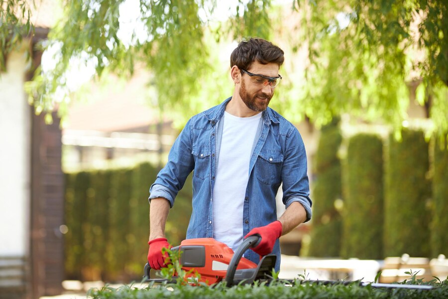 Landscaping