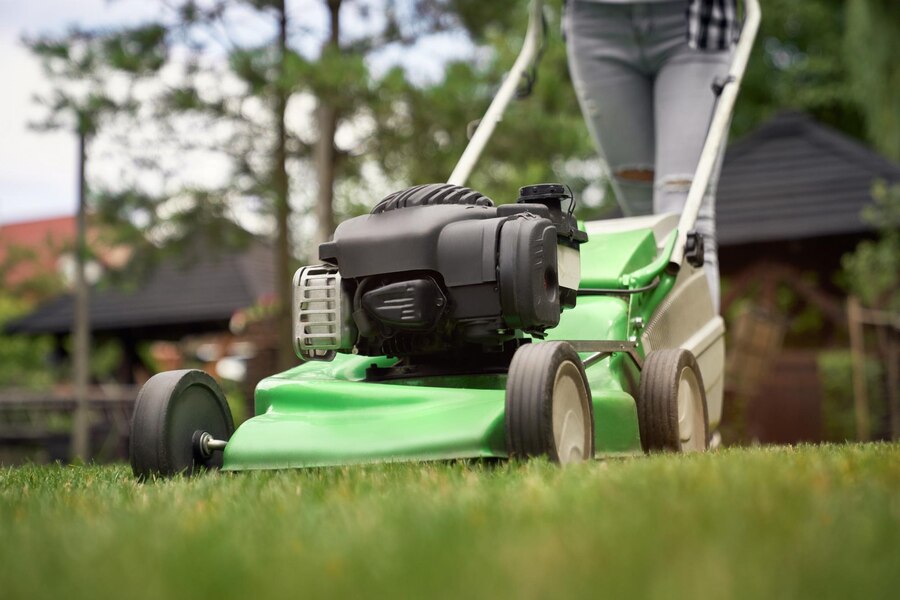Lawn-Care-Maintenance